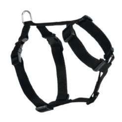 Beeztees Nylon Autogordel 75-100x25 Zwart 75-100x25 Cm