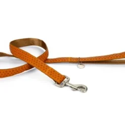 Beeztees Hondenriem Mac Leather 120cm X 25mm Bruin