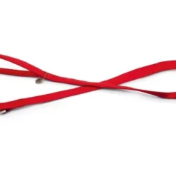 Beeztees Hondenriem Mac Leather 120cm X 25mm Rood