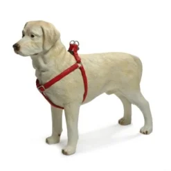 Beeztees Hondentuig Mac Leather 50-75cm Rood