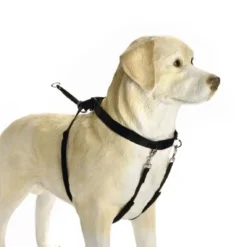 Beeztees Gentle Walker L (Boxer) Voor De Hond Per Stuk