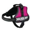 Julius K9 Power-harnas Voor Hond / Tuig Voor Voor Labels Fuchsia Minimini/40-53 Cm -Knuffel Paws Verkoop 5999053662974 1