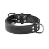 Adori Halsband Vetleer Zwart - Hondenhalsband - 60x2.5 Cm -Knuffel Paws Verkoop 8711621942892 1