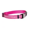 ROGZ Hondenhalsband Trendy Pink Bones -Knuffel Paws Verkoop file 113