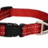 Rogz For Dogs Fanbelt Hondenhalsband Verstelbaar Rood 56 X 2 Cm -Knuffel Paws Verkoop file 141