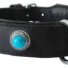 Hondenhalsband Antique Turquoise 1 Hondenhalsband Antique Turquoise -Knuffel Paws Verkoop file 149