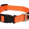 Rogz For Dogs Fanbelt Hondenhalsband Verstelbaar Oranje 56 X 2 Cm -Knuffel Paws Verkoop file 160