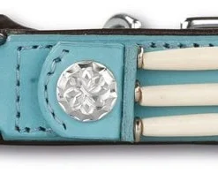 Hondenhalsband Baby Blue Eagle 25mm