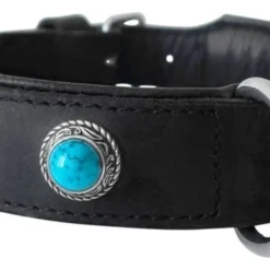 Hondenhalsband Antique Turquoise