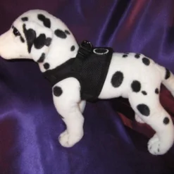 Hondenriem Twinkle Little Star Brown/Silver