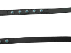 Hondenriem Antique Turquoise