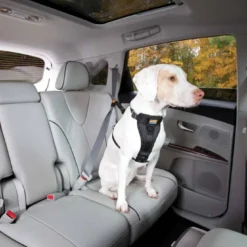 Kurgo Enhanced Tru-Fit Smart Harness - Zwart - L