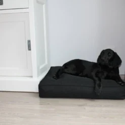 Benchkussen 65x50x10 Cm Zwart