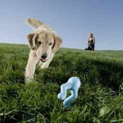 Zogoflex Tizzi - Small - Aqua