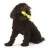 Zogoflex Hurley Dog Bone - Small - Lime -Knuffel Paws Verkoop file 564