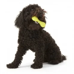 Zogoflex Hurley Dog Bone - Small - Lime