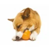 Zogoflex Toppl Treat Toy - Small - Orange
