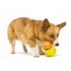 Zogoflex Toppl Treat Toy - Small - Lime -Knuffel Paws Verkoop file 662