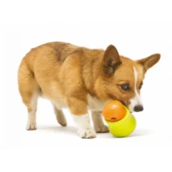 Zogoflex Toppl Treat Toy - Small - Lime
