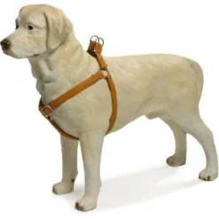 Beeztees Hondentuig Mac Leather 66-100cm Bruin 7 Beeztees Hondentuig Mac Leather 66-100cm Bruin -Knuffel Paws Verkoop hondentuig mac leather 66 100cm bruin 8712695086697 1 0 300x300 1