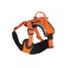 Hurtta Dazzle Harness - Oranje - 60/80 Cm -Knuffel Paws Verkoop hurtta dazzle harness oranje 6080 cm 47325 0300 none