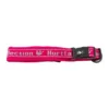 Hurtta Padded Collar - Roze - 25-35 Cm -Knuffel Paws Verkoop hurtta padded collar roze 25 35 cm 70951 0300 none