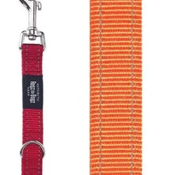 Rogz For Dogs Fanbelt Multipurpose Lijn Oranje