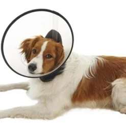 Buster Premium Dog Collar - Beschermkraag Small