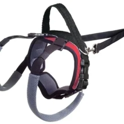 PetSafe Solvit Carelift Achterhand - Small (rood) -Knuffel Paws Verkoop image 53