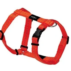 Rogz For Dogs Nitelife Hondentuig Verstelbaar Oranje 36 X 1,1 Cm