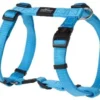 Rogz For Dogs Fanbelt Hondentuig Verstelbaar Turquoise 75 X 2 Cm -Knuffel Paws Verkoop image 65