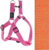 Rogz For Dogs Fanbelt Step-in Hondentuig Verstelbaar Oranje 76 X 2 Cm -Knuffel Paws Verkoop image 80
