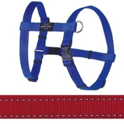 Rogz For Dogs Fanbelt Hondentuig Verstelbaar Rood 75 X 2 Cm