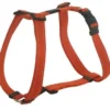Rogz For Dogs Lumberjack Hondentuig Verstelbaar Oranje 101 X 2,5 Cm -Knuffel Paws Verkoop image 96