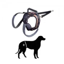 PetSafe Solvit Carelift Achterhand - Small (rood) -Knuffel Paws Verkoop product carelift achterhand small rood medpets 3 1449066491 19372