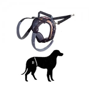 PetSafe Solvit Carelift Achterhand - Small (rood) - Afbeelding 3