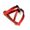 EzyDog Chest Plate Tuig - S - Rood -Knuffel Paws Verkoop product ezydog chest plate tuig s rood medpets 3 1400593579 11348