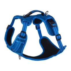 Rogz Explore Hondentuig - S -Knuffel Paws Verkoop rogz explore hondentuig s 72133 0300 none