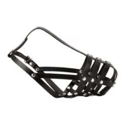 Julius K9 Julius-K9 Muilkorf - Yorkshire Terriër / Mini Pekinees